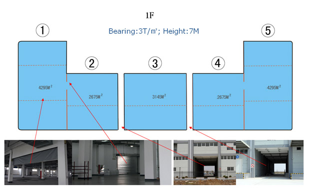 ��ɽ��˰�����ֿ�